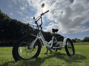 Electric Tricycle in Park